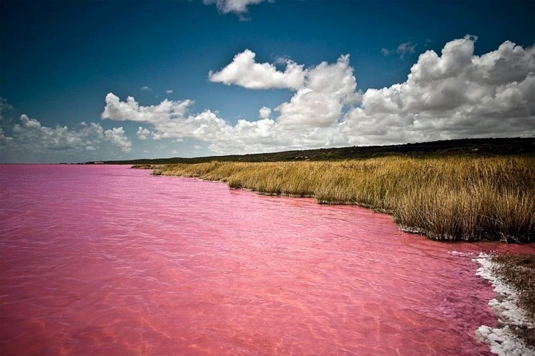 lac rose retba
