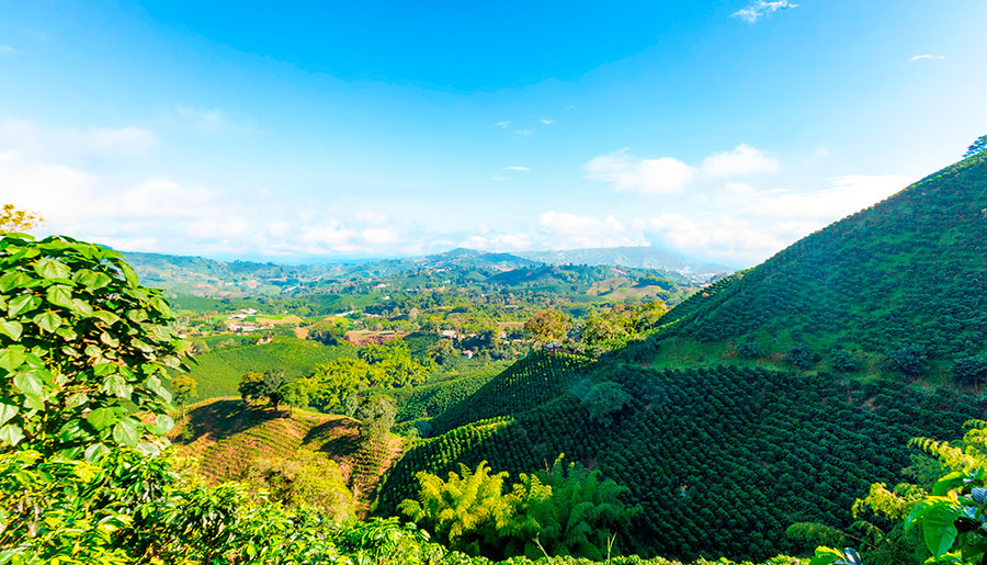 Paisaje Cultural Cafetero
