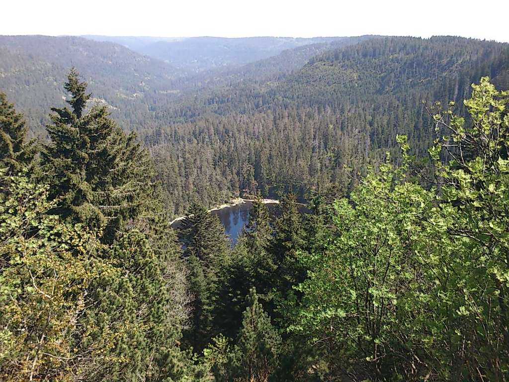 Schwarzwald ou forêt noire